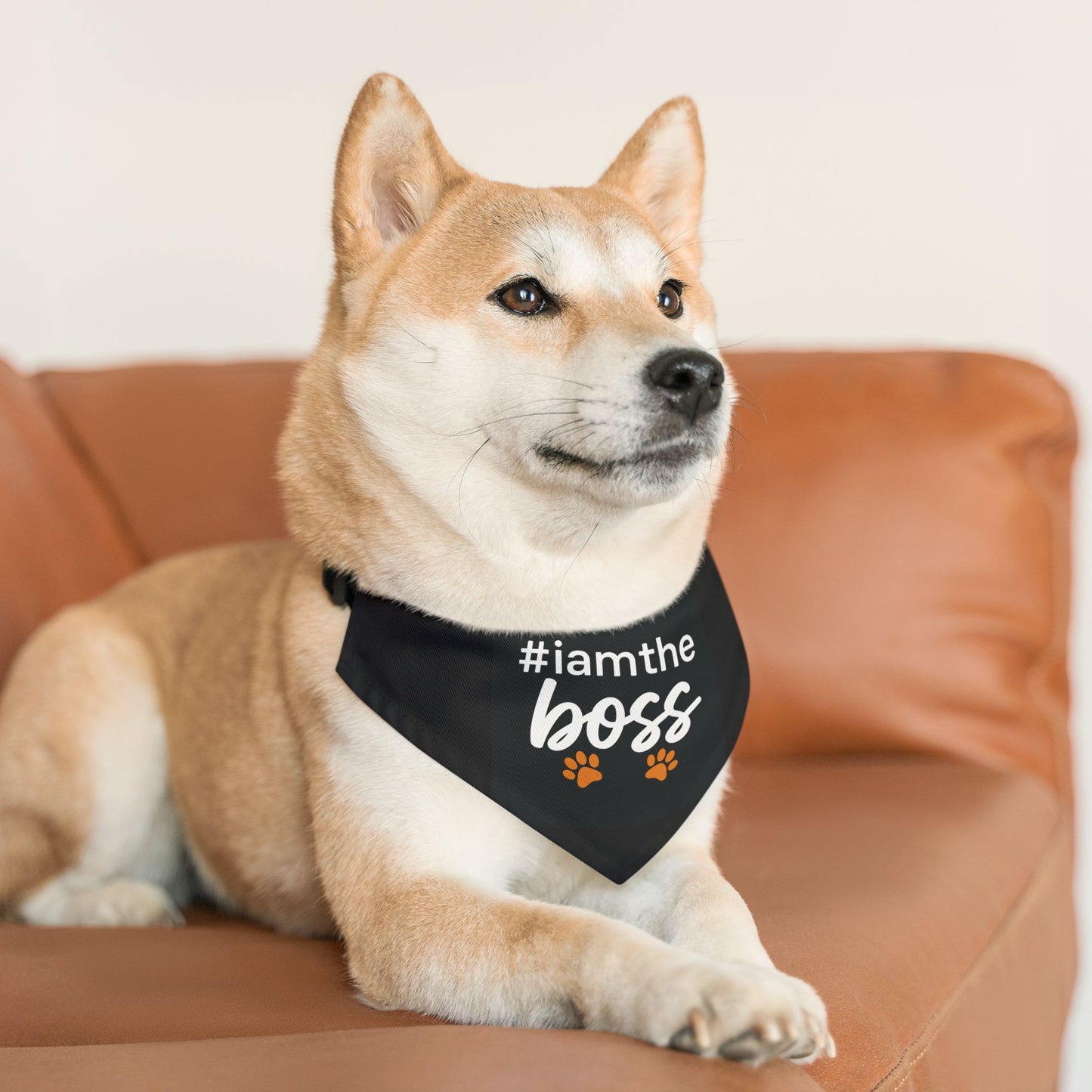 Pet Bandana Collar – "#iamtheboss" Black Dog Bandana with Paw Print Accents