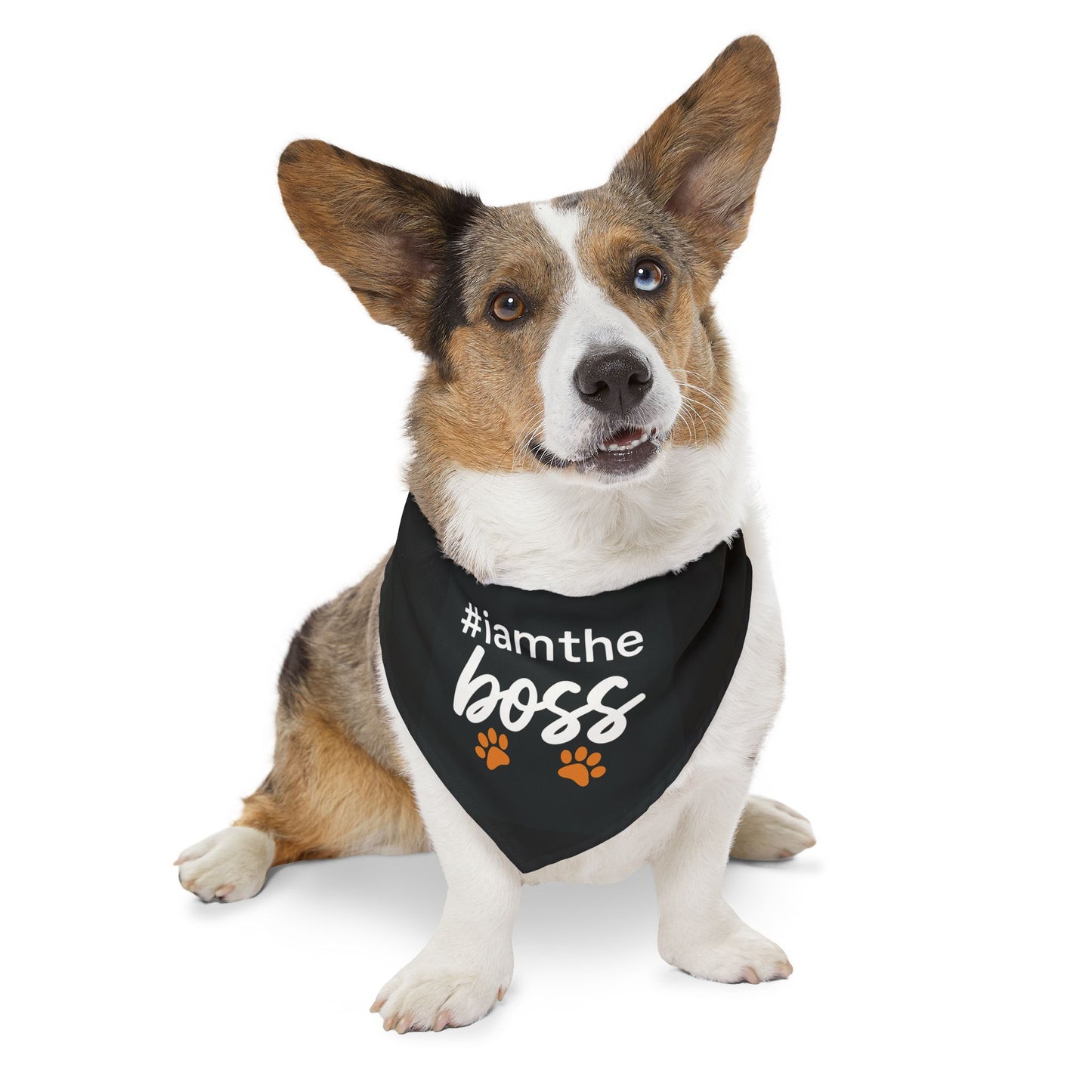 Pet Bandana Collar – "#iamtheboss" Black Dog Bandana with Paw Print Accents