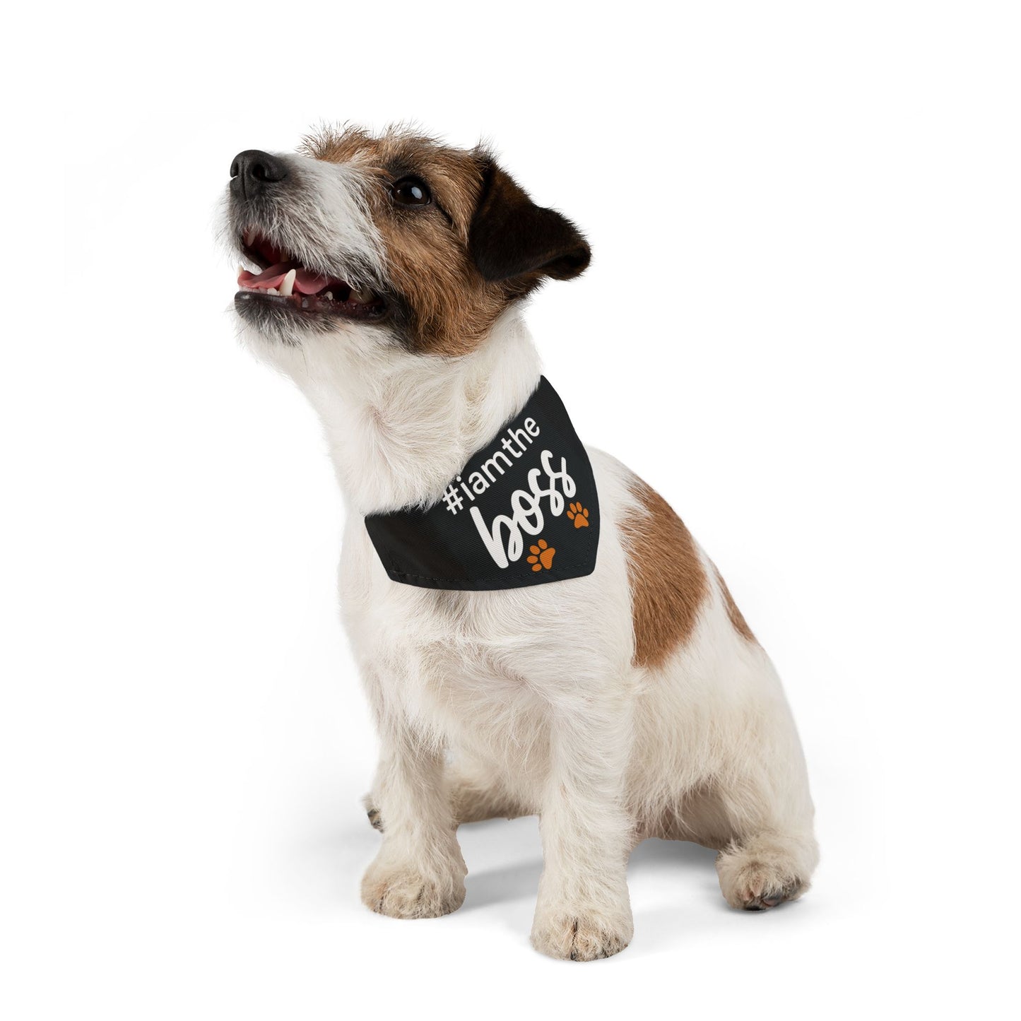 Pet Bandana Collar – "#iamtheboss" Black Dog Bandana with Paw Print Accents