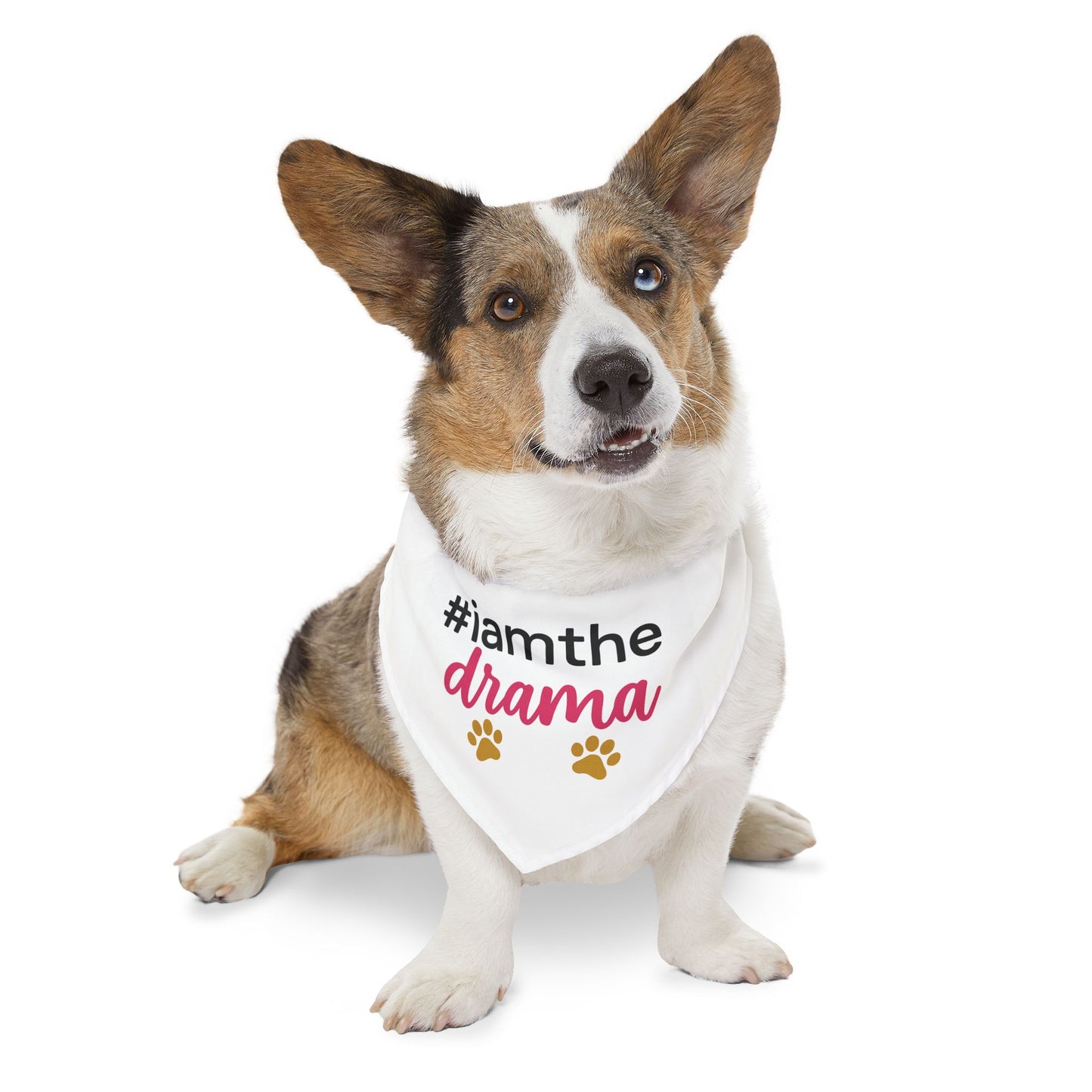 Pet Bandana Collar — "#iamthe drama" Funny Paw Print Dog Bandana