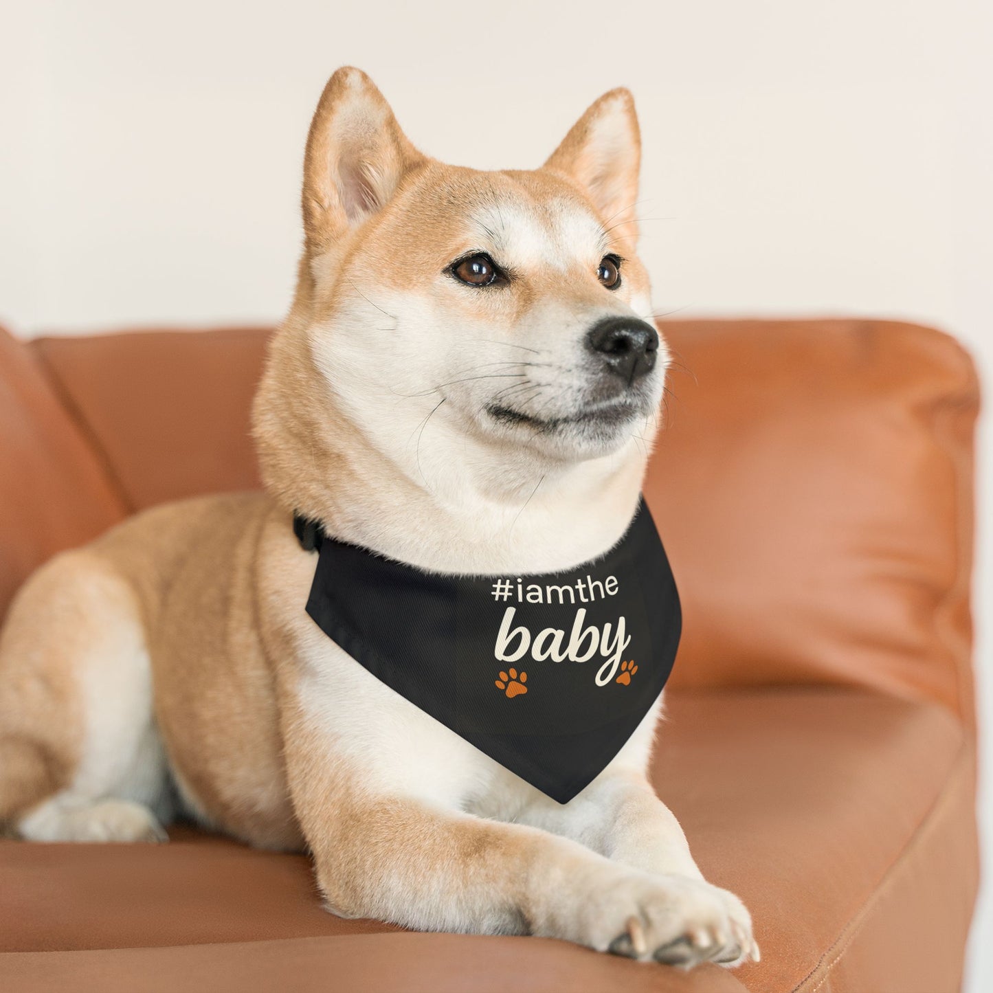 Pet Bandana Collar — "#iamthebaby" Black Dog Bandana with Paw Print