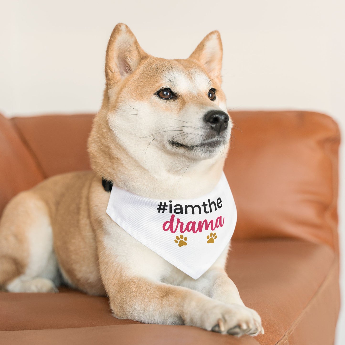 Pet Bandana Collar — "#iamthe drama" Funny Paw Print Dog Bandana