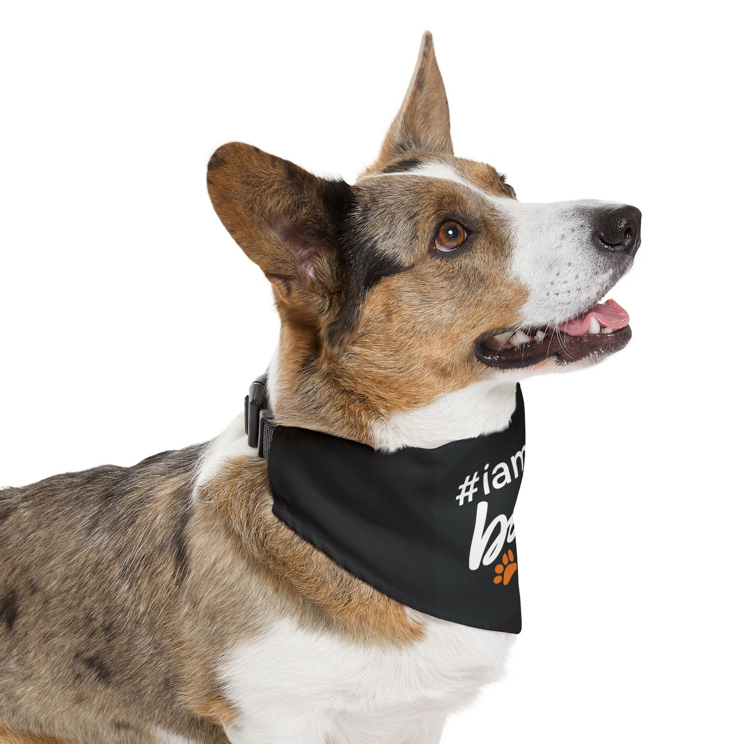 Pet Bandana Collar – "#iamtheboss" Black Dog Bandana with Paw Print Accents