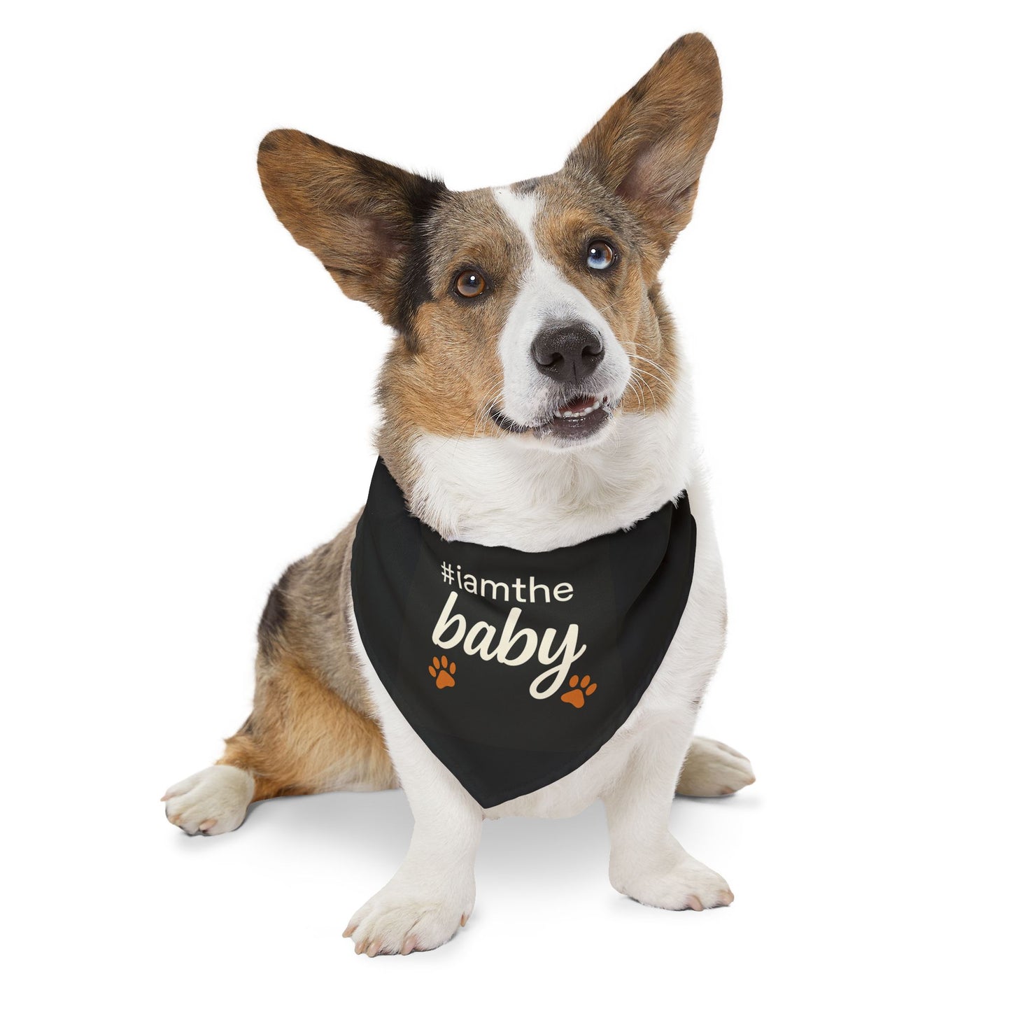 Pet Bandana Collar — "#iamthebaby" Black Dog Bandana with Paw Print