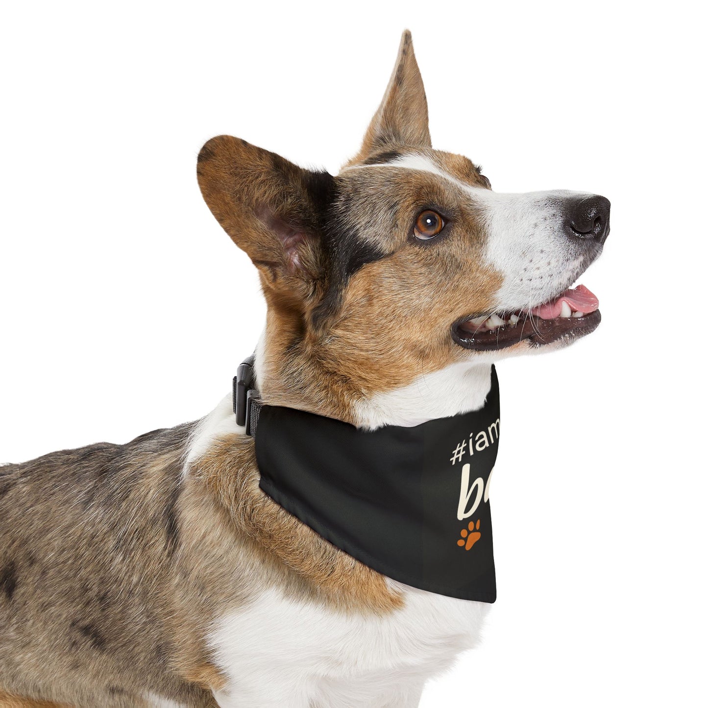 Pet Bandana Collar — "#iamthebaby" Black Dog Bandana with Paw Print