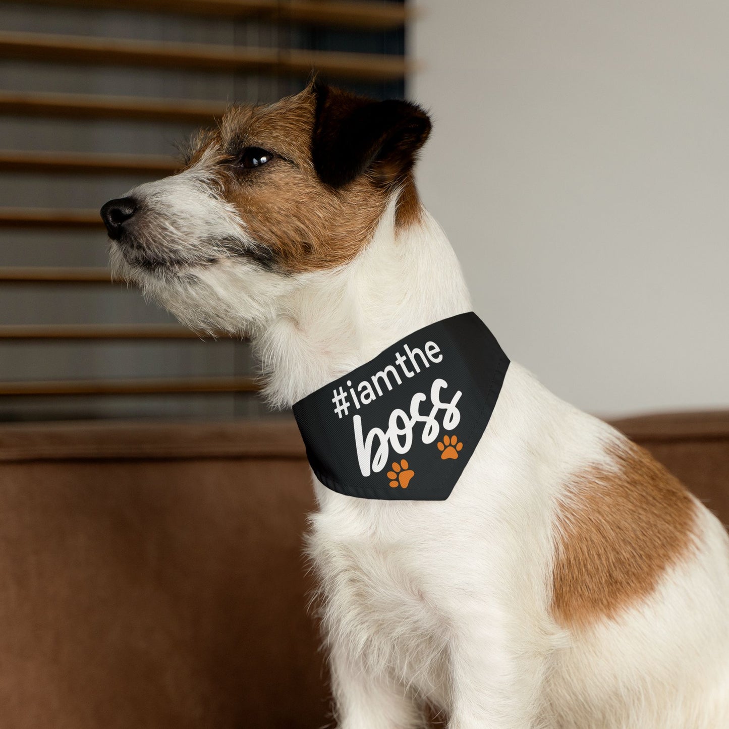 Pet Bandana Collar – "#iamtheboss" Black Dog Bandana with Paw Print Accents