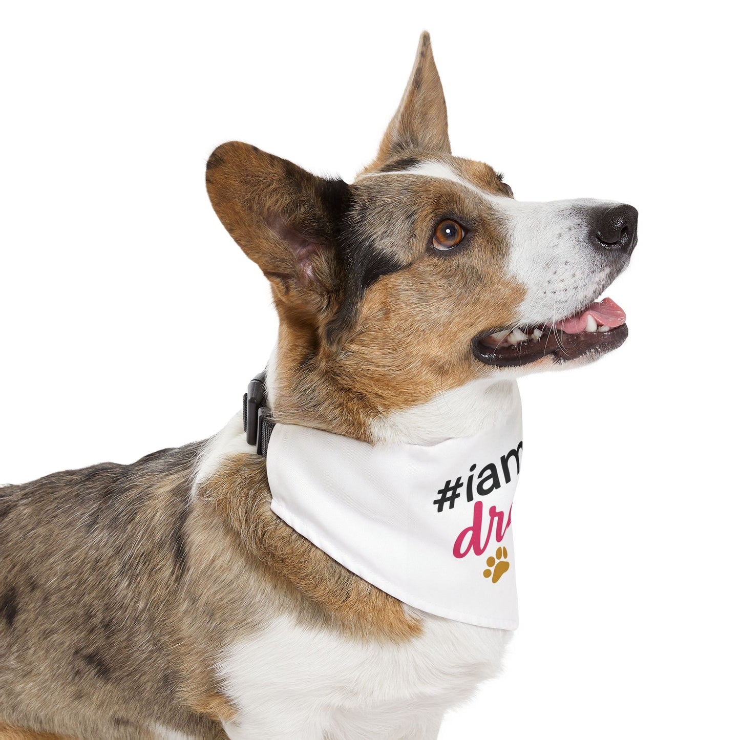 Pet Bandana Collar — "#iamthe drama" Funny Paw Print Dog Bandana